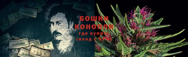 ПСИЛОЦИБИНОВЫЕ ГРИБЫ Аркадак
