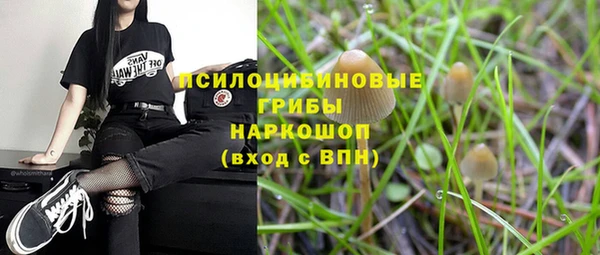 бошки Арсеньев
